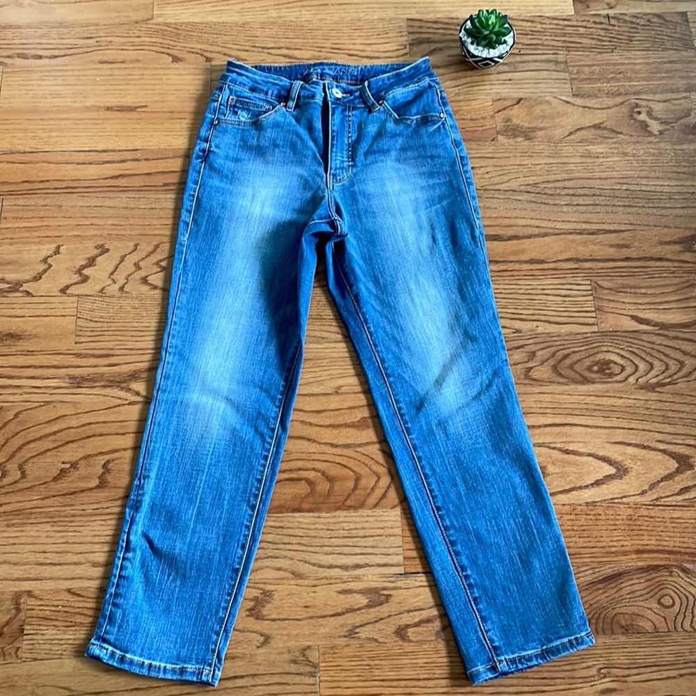 Jag Jeans Women's High Rise Straight Leg Jean Size 6/28